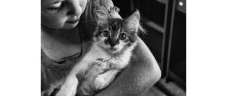 Jaki kot dla dziecka będzie najlepszy – cechy charakteru i wybrane rasy