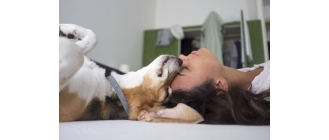 Głaskanie psa ma znaczenie! Sprawdź, jak sprawić psu najwięcej radości