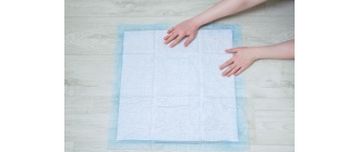 Jak zadbać o sukę i kotkę podczas rui?