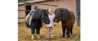 Hipoterapia, czyli terapia z końmi