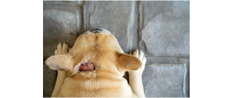 Hot spot - co to jest i jak pomóc pupilowi?