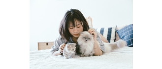 Jakie wybrać imię dla kota? Czym się kierować?