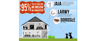 Pchły - co trzeba o nich wiedzieć