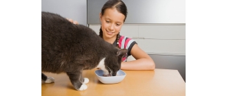 Ile powinien jeść kot? Jak dawkować mu pokarm?