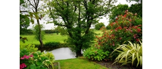 O czym należy pamiętać, aby cieszyć się pięknym oczkiem wodnym?