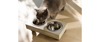 Karma bezzbożowa dla kota - zalety karmy dla kota bez dodatku zbóż