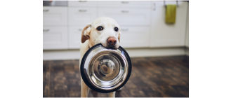 Wszystko o karmach monobiałkowych