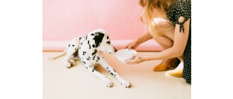 Jaka kasza dla psa? Rozwiewamy wątpliwości czy pies może jeść kaszę!