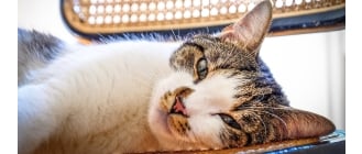 Źródło: Freepik