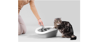 Krew w moczu u kota - co robić? Reaguj!