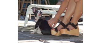 Strach przed psami (kynofobia). Skąd się bierze i czy można ją wyleczyć?