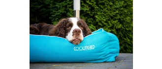 Akcesoria chłodzące dla psa - jak przetrwać z psem upalne lato?