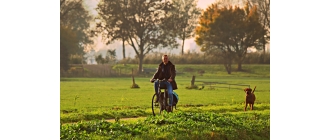 Wycieczki rowerowe z psem - jak zacząć?