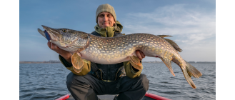 Jaka jest największa ryba na świecie? Zobacz zestawienie!