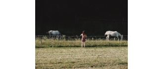 Pasożyt koni – dlaczego tak ważne jest odrobaczanie konia?