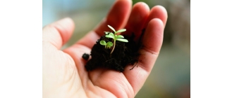 Co siejemy w marcu? Poradnik ogrodnika