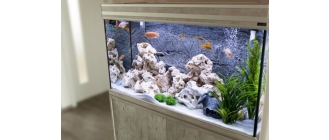 Czym są okrzemki i jak się ich pozbyć?