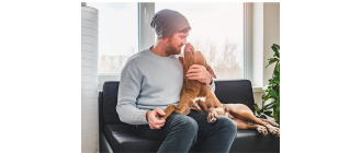 Jaki jest idealny pies dla singla?