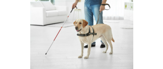Jaki cechy powinien mieć pies przewodnik i na czym polega jego praca asystenta?