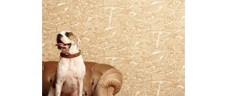 Co znaczy, gdy pies saneczkuje?