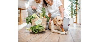 Czy pies może być wegetarianinem?