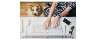 Wzrasta podatek od psa - przygotuj się na większe opłaty od kolejnego roku