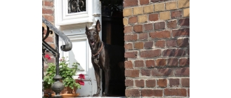 TOP 5 najpopularniejszych ras psów stróżujących. Czy pies stróżujący jest dla Ciebie?