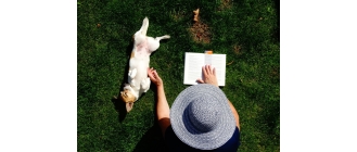 Jak uspokoić psa i pomóc mu z nadpobudliwością?