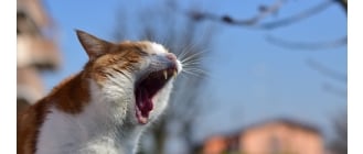 Źródło: Freepik