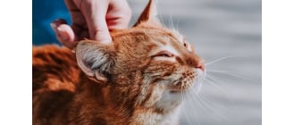 Źródło: Freepik