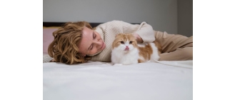 Co oznacza sen o kotach? Przedstawiamy najczęstsze znaczenie kota w senniku