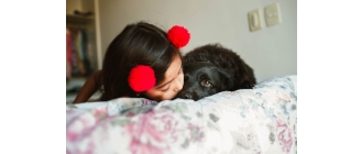 Pies we śnie? Sprawdź znaczenie psa w senniku!