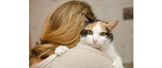 Ailurofobia, czyli lęk przed kotami. Czym się objawia fobia przed kotami i czy można ją wyleczyć?