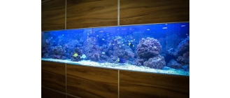 Jaka temperatura w akwarium jest odpowiednia dla rybek?