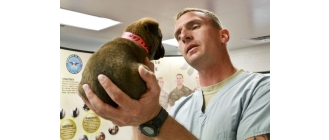 Testy na koronawirusa dla zwierząt - czy możesz przetestować na covid swojego psa i kota?