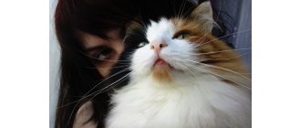 Jak rozpoznać trądzik u kota?