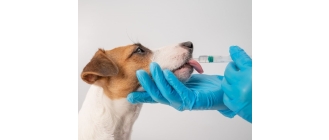 Tran dla psa – szkodzi czy pomaga?