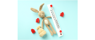 Jak rozpoznać przegrzanie u królika? Nie dopuść do udaru słonecznego!