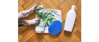 Wszoły u psa i kota