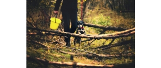 Czy ultradźwięki na kleszcze są skuteczne?