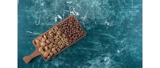 Zalety suchej karmy dla psa