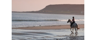 Jazda konna – czy jest dla Ciebie? Style jazdy konnej i obozy konne