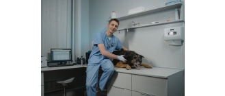 Jak rozpoznać dyskopatię u psa? Zapobieganie wypadnięciu dysku u psa