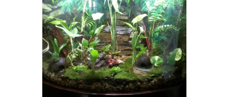 Jakie wyposażenie do terrarium wybrać dla jego mieszkańców?