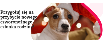 Jak być rewelacyjnym opiekunem psa? Najnowsza książka z poradami m.in. Michała Dąbrowskiego