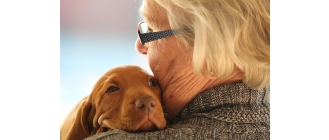Przytulanie zwierząt - czy to lek na całe zło?