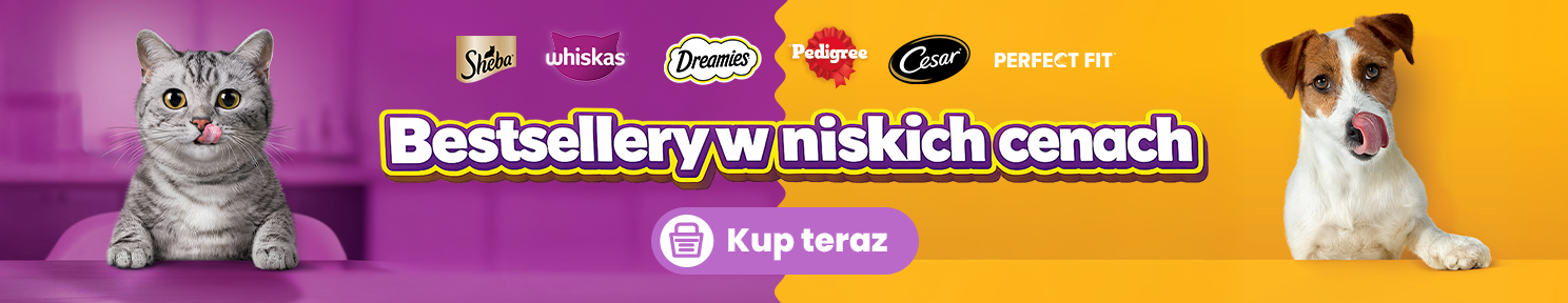 Bestsellery w niskich cenach