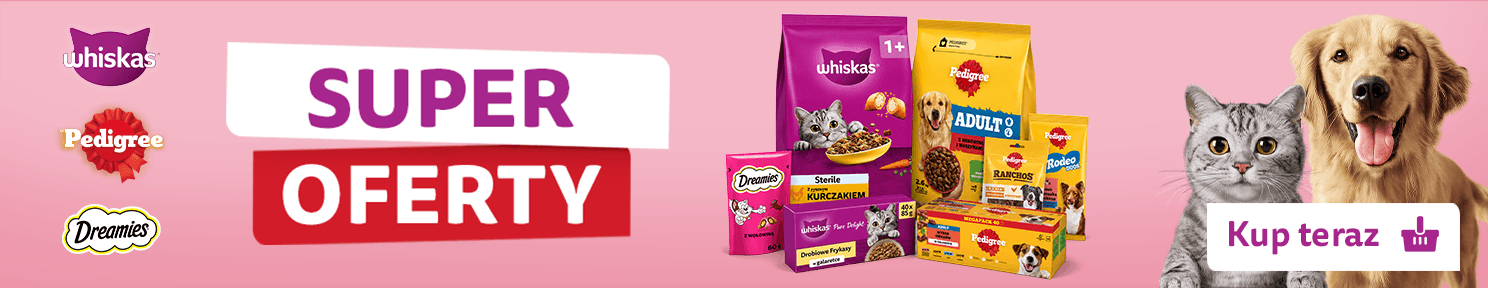 Super oferty w niskich cenach