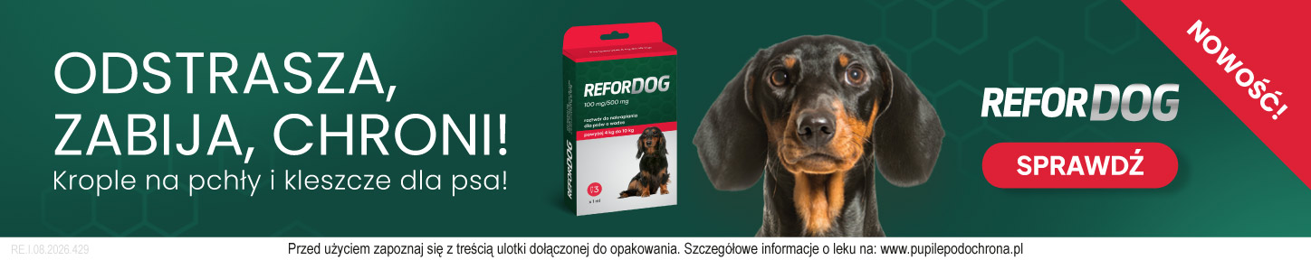 Nowość REFORDOG krople na pchły i kleszcze dla psów