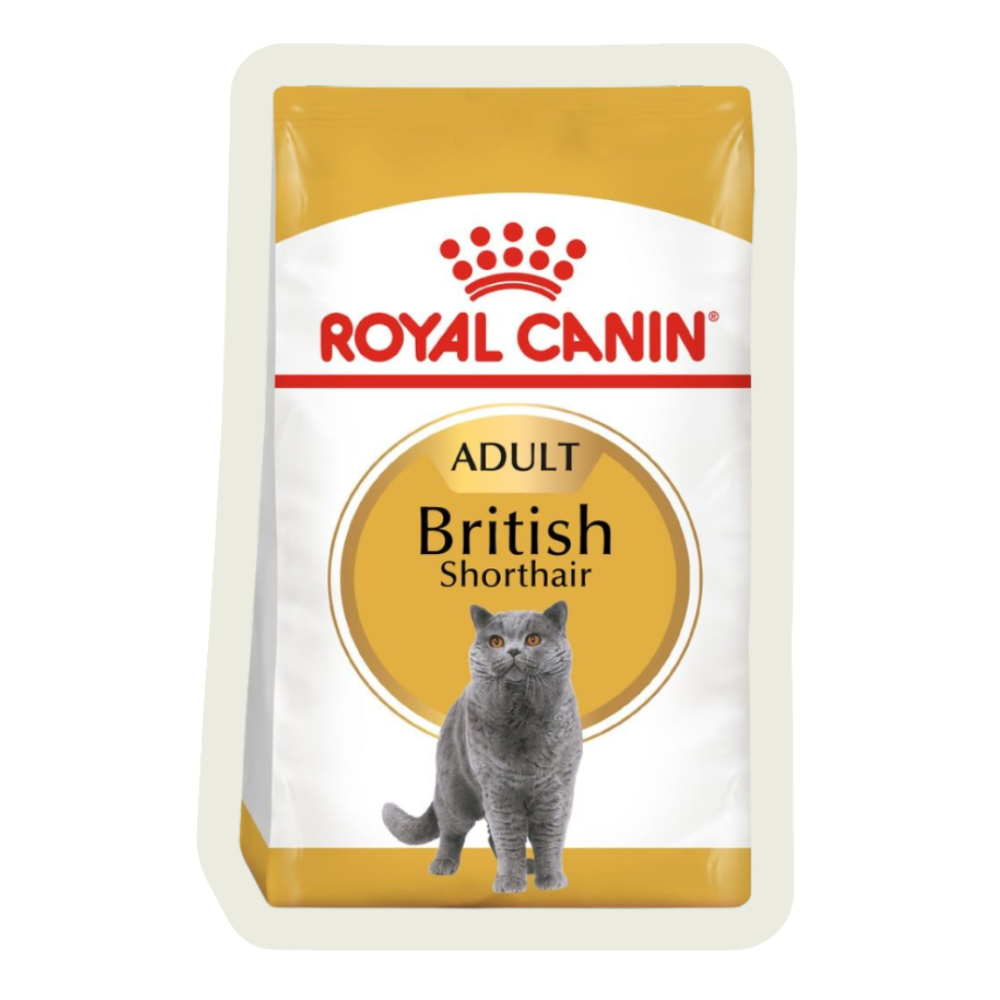 Karma dla kota Royal Canin